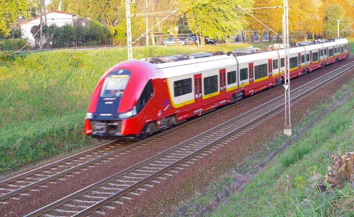 fot. materiały własne