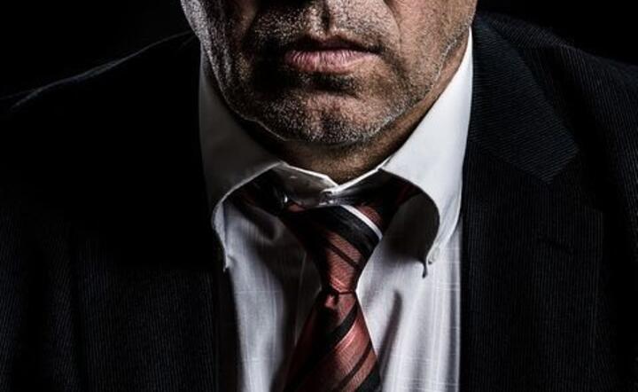 CEO / autor: fot. Pixabay