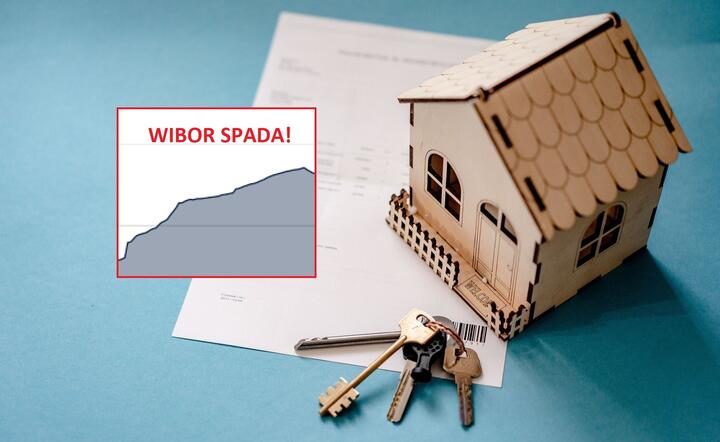 Hipoteki, WIBOR / autor: Fratria, Pixabay