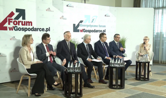 "To ogromne wyzwanie". Kierunek zielona energia | ENERGETYCZNE FORUM WGOSPODARCE.PL
