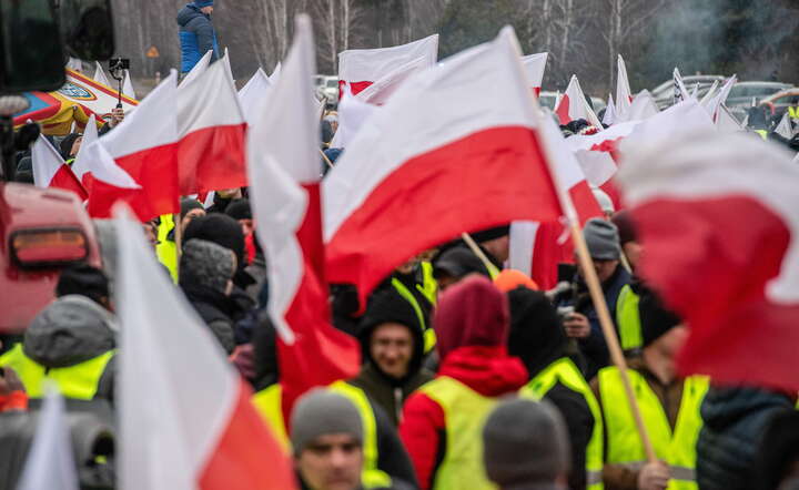 Protesty / autor: PAP