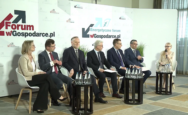ENERGETYCZNE FORUM WGOSPODARCE.PL / autor: Fratria