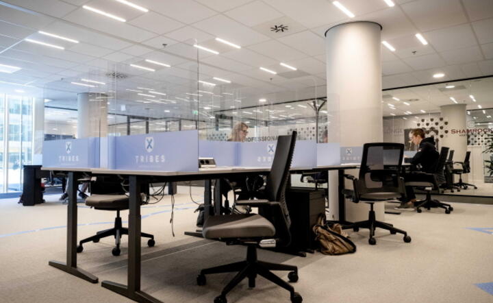 Open Space po nowemu, Amsterdam, Holandia / autor: EPA/PAP