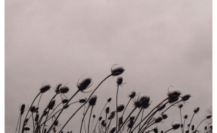 autor: www.sxc.hu
