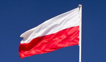 Referendum konstytucyjne i wybory samorządowe razem?