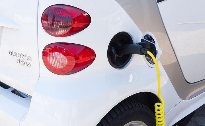 'Elektryki' to nieunikniona przyszłość? / autor: Pixabay 