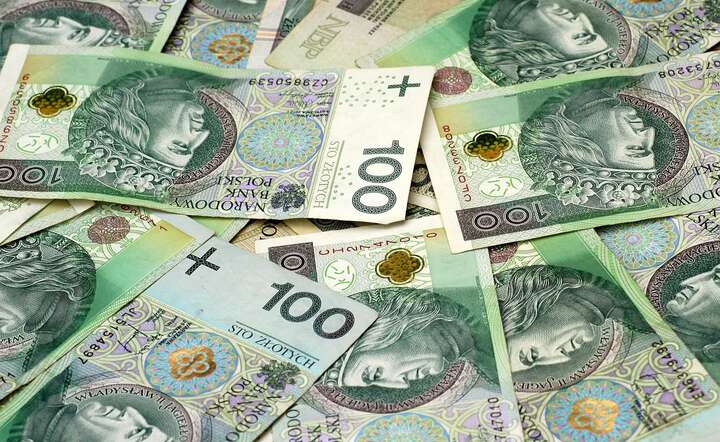 W środę Rada Polityki Pieniężnej obniżyła koszt pieniądza o 25 punktów bazowych / autor: Pixabay