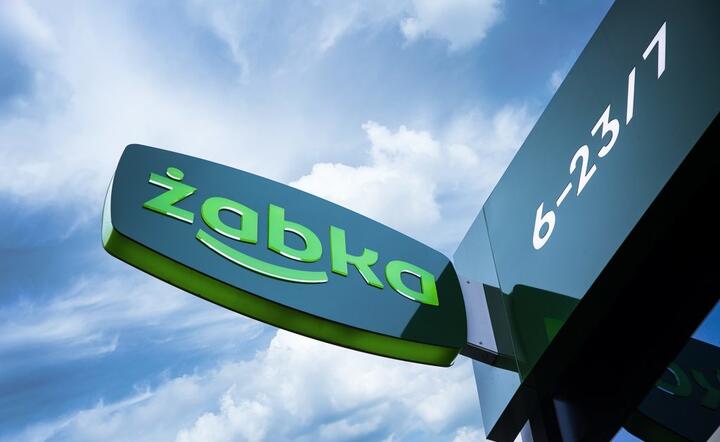Żabka / autor: MS, mat. prasowe