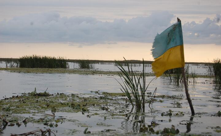 Ukraina zakupi od Stanów Zjednoczonych kutry patrolowe / autor: Pixabay