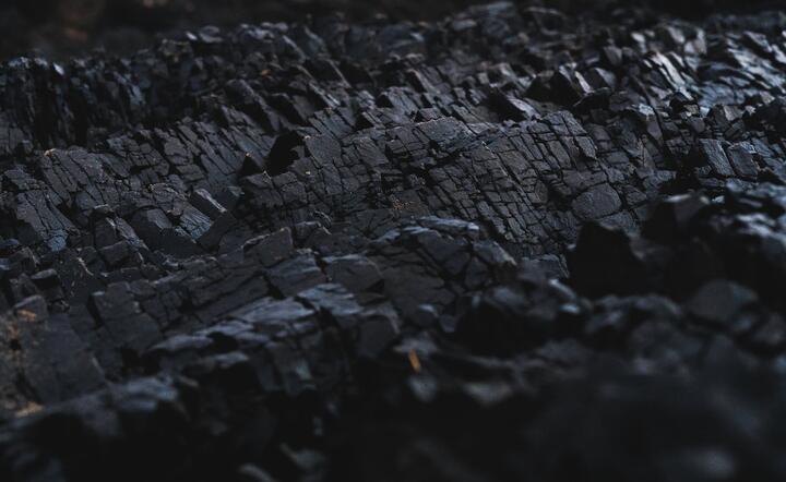 Zdjęcie ilustracyjne / autor: Pexels.com