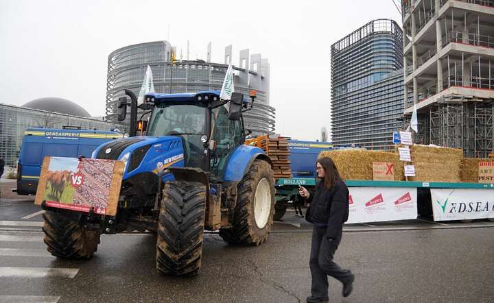 Protest francuskich rolników w Strasburgu przed Parlamentem Europejskim, przeciw umowie Mercosur, 22 stycznia 2025 / autor: Fratria / MK
