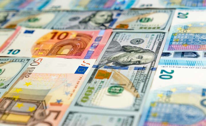 Dolar / autor: Fratria