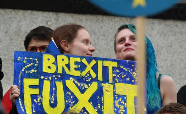 Demonstracja w Londynie przeciw Brexitowi fot. PAP/EPA/SEAN DEMPSEY