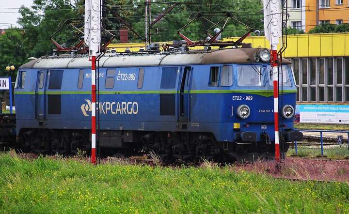 PKP Cargo / autor: Pixabay