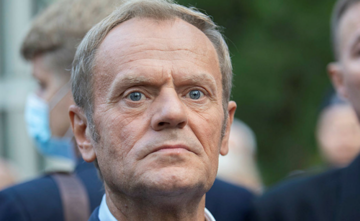 Donald Tusk / autor: Frattria