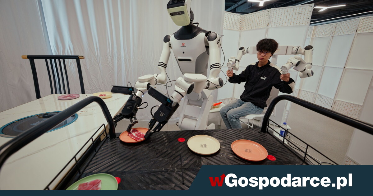 Robot – druga para rąk dla człowieka