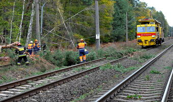 Dolnośląskie: 100 tys. odbiorców bez prądu