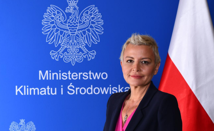 wiceszefowa resortu klimatu i środowiska Anna Łukaszewska-Trzeciakowska / autor: GOV