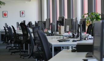 Pracodawcy deklarują chęć zatrudniania