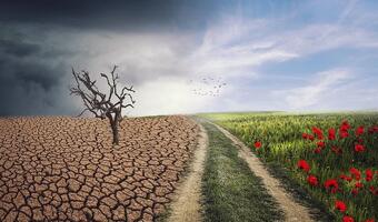 Pandemia nie pomogła klimatowi!
