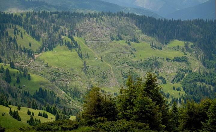 Karpaty / autor: pixabay