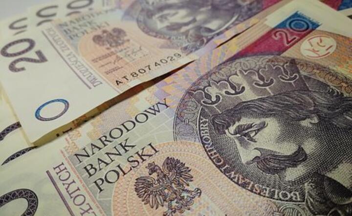 Pole do wyraźniejszego spadku kursu EUR/PLN jest ograniczone, pomimo że euro/dolar powrócił powyżej 1,22 / autor: Pixabay