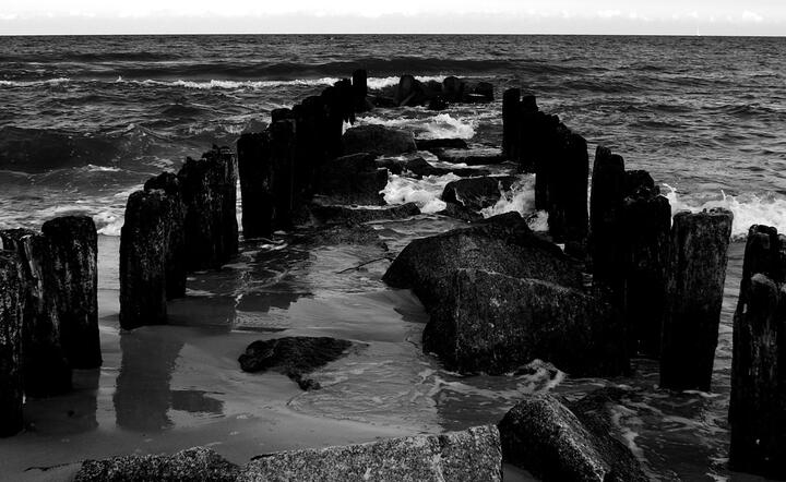 autor: www.sxc.hu