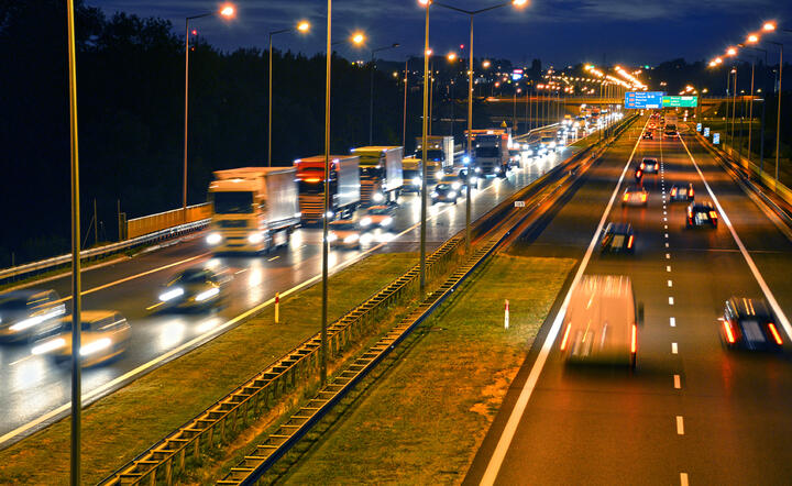Artykuł sponsorowany / autor: Shutterstock