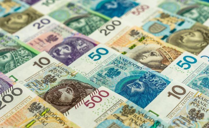 banknoty NBP / autor: Fratria