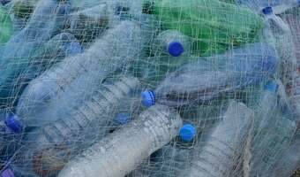 Bakterie nauczyły się trawić... plastik
