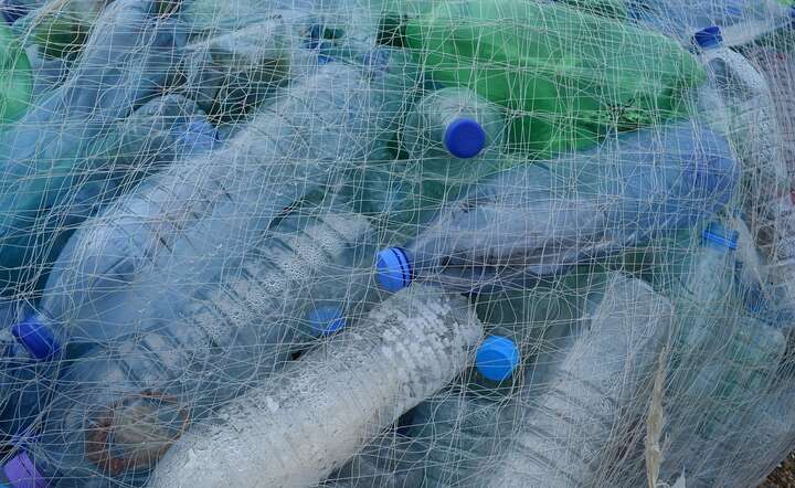 Bakterie nauczyły się trawić... plastik