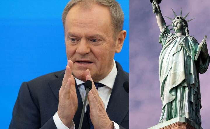 Premier Donald Tusk ocenia, że cła w USA to "dotkliwy cios" / autor: Fratria / AW / Pixabay