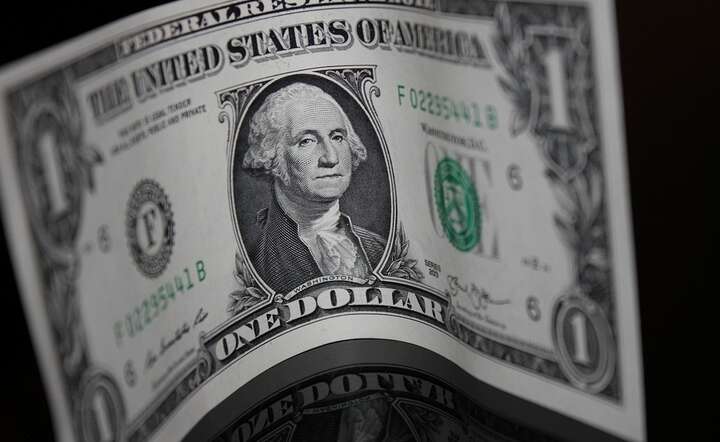 Dolar ma teraz gorszy moment / autor: Pixabay