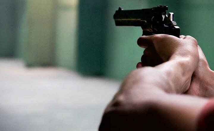 Pistolet / autor: Pixabay.com