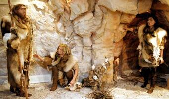 Masz geny neandertalczyka? Decydują o przebiegu COVID-19!