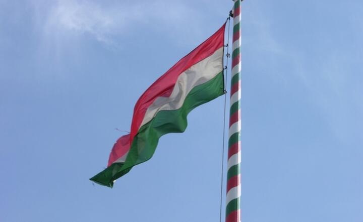 Fot. Freeimages/Csaba Moldovan