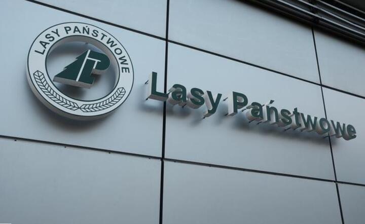 Lasy Państwowe / autor: Fratria