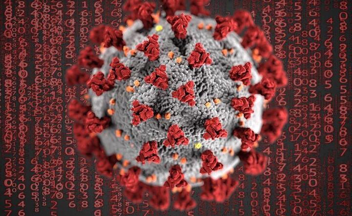 Pandemia COVID-19  / autor: Pixabay