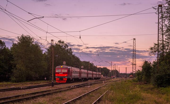 Zdjęcie reprezentacyjne / autor: Pixabay/LuidmilaKot