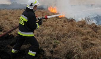Spłonęło ponad tysiąc hektarów łąk i lasów. [Galeria]