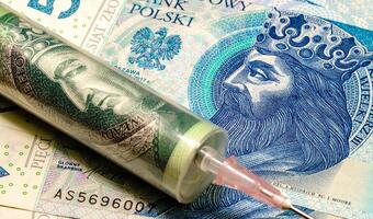 Złoty najsłabszy od 2009 roku