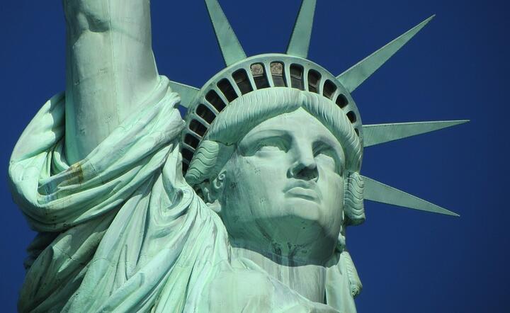 Mimo braku wiz wjazd do USA wciąż nie jest łatwy / autor: fot. Pixabay