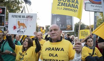 Wraca walka z "futrzarzami" - czego chcą Zieloni?