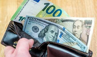 Dolar amerykański może utrudnić życie niedźwiedziom