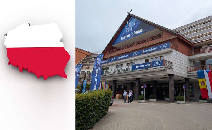  Raport SGH: Polska na jednym z ostatnich miejsc w UE pod względem wdrażania AI / autor: Pixabay/Fratria