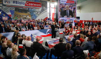 Prezes PiS: w tej chwili euro nam się nie opłaca