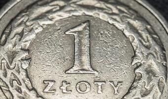 Złoty w strefie komfortu