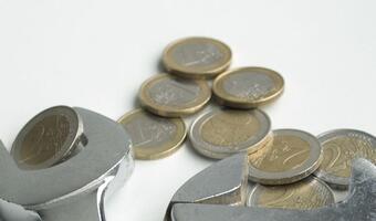 Polska w strefie euro - ekonomiści bardzo sceptyczni