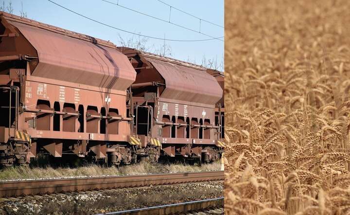 Transporty z ukraińskim zbożem znów masowo wjeżdżają do Polski. ZDJĘCIE ILUSTRACYJNE / autor: Pixabay x 2