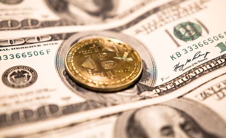 Bitcoin zaliczył w dwa lata bezprecedensowy wzrost ceny z 15 do 100 tys. dolarów / autor: Pixabay